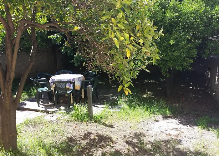 Tea Isola Dino - & - A Mare Hotel Praia a Mare